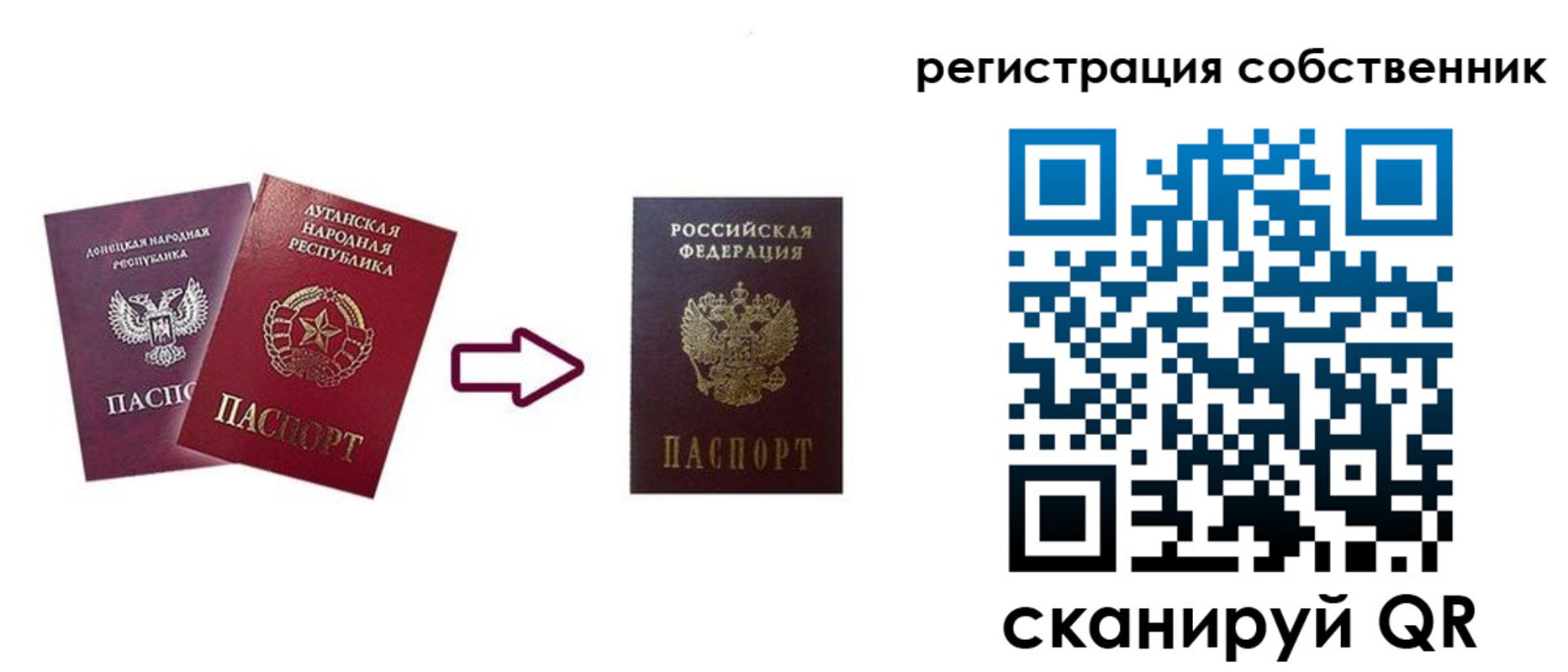 прописка для школы в Владимирской области